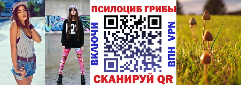 Псилоцибиновые грибы прущие грибы  OMG ссылки  Чебоксары 